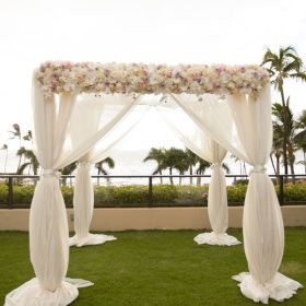 10ft Heavy Duty Wedding Ceremony Canopy