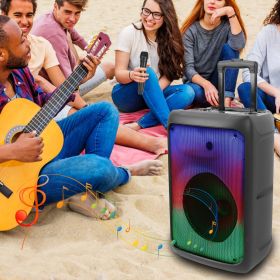 Portable Wireless Party Speaker