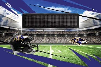 Official NFL Ravens - 20" x 32" Personalized Washable Rug