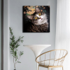 Customize Canvas Prints with Your Photo Canvas Wall Art