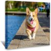 Customize Canvas Prints with Your Photo Canvas Wall Art